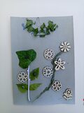 Galerie photo 